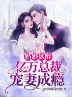 婚婚欲醉：亿万总裁宠妻成瘾