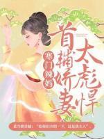 寒门辣妈：首辅娇妻太彪悍