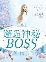 邂逅神秘BOSS