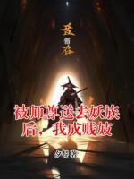 被师尊送去妖族后，我成贱妓