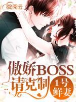 1号鲜妻：傲娇BOSS请克制